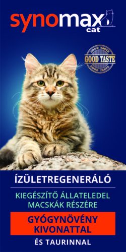 Synomax cat 100ml 