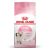 Royal Canin cat Kitten 