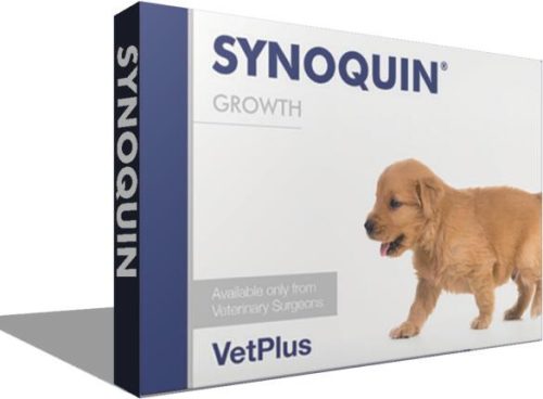 Synoquin Growth 60x