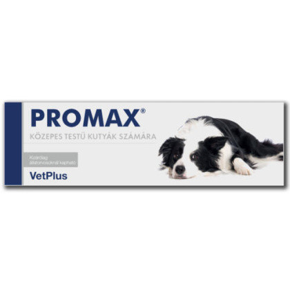 Promax paszta Medium 18ml