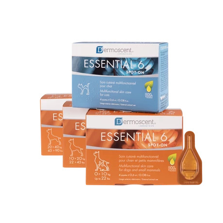 Dermoscent Essential 6 spot-on 20-40kg kutyáknak 4 x 2.4ml