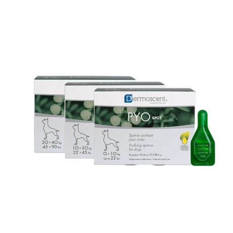 Dermoscent PYOspot® 10-20kg közötti kutyák részére 4 x 1.2ml