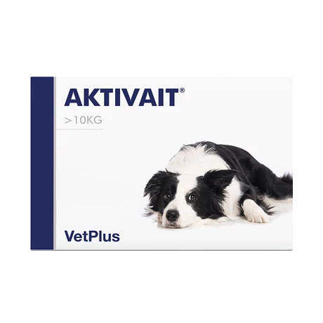 Aktivait M/L 60x