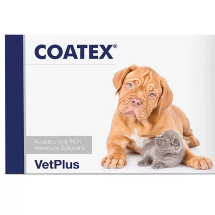 Coatex kapszula 60x