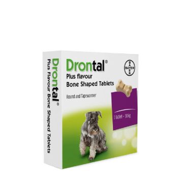 Belső élősködők, paraziták