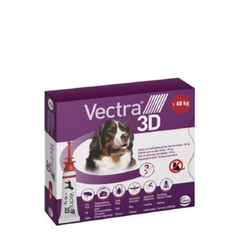 Külső élősködők