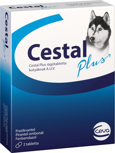 CESTAL PLUS rágótabletta 2 tabletta