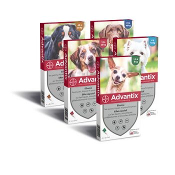 Advantix 6,0 ml. 40-60 kg. 4x