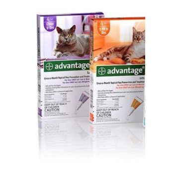   Advantage 80 cseppek 4 kg feletti macskának, 1 doboz (4 amp)