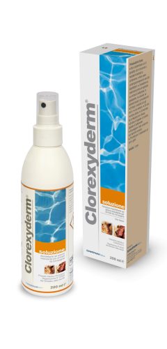 Clorexyderm oldat 250 ml