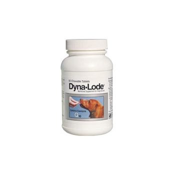 Dyna Lode tabletta 50 szem