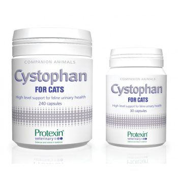 Protexin Cystophan kapszula 30 db